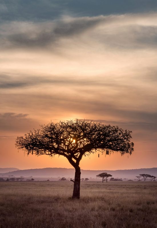 South African Visa